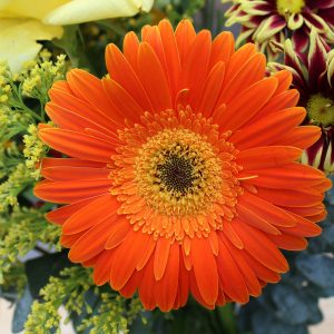 Product Photography for Retail Marketing