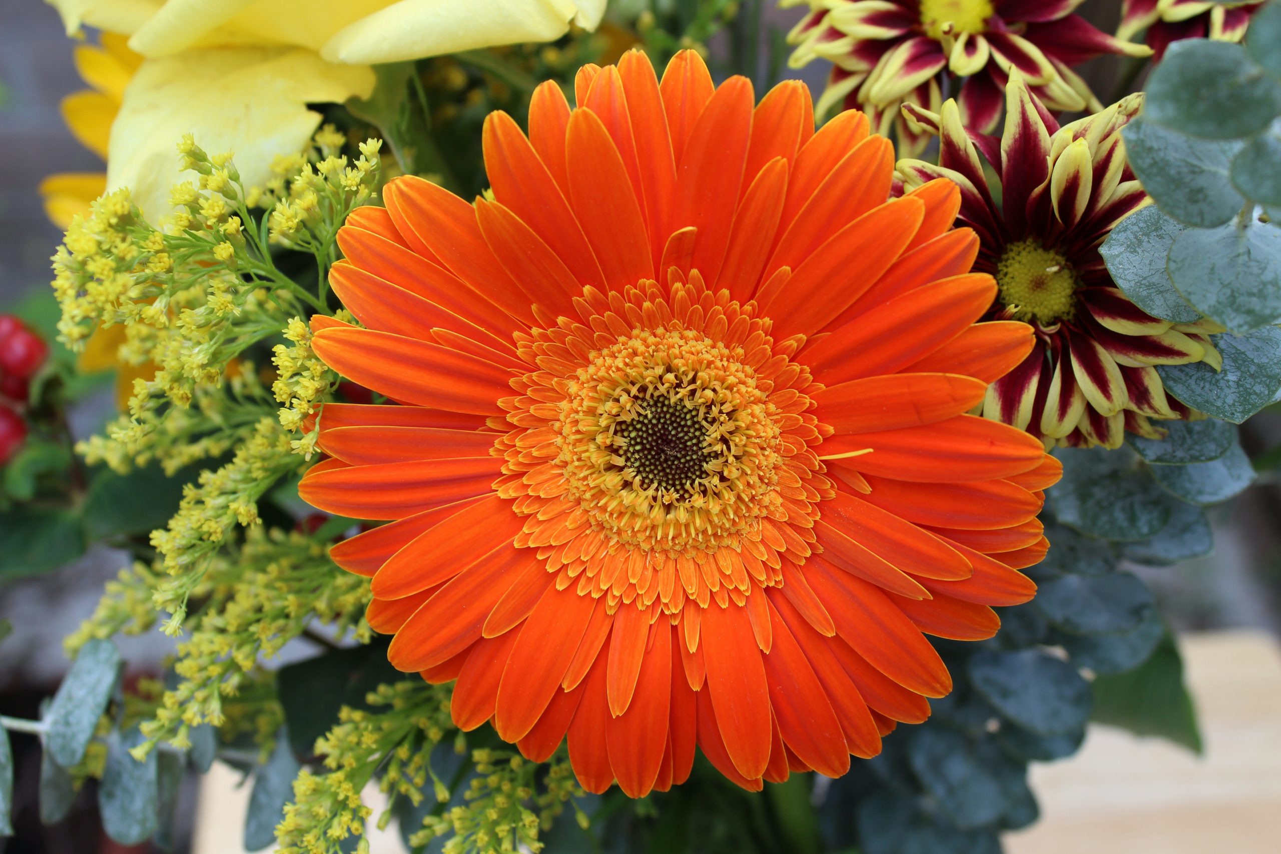 Product Photography for Retail Marketing